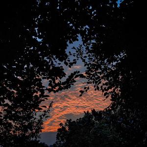 雏田❌❌❌爆🈲🔞本孑
